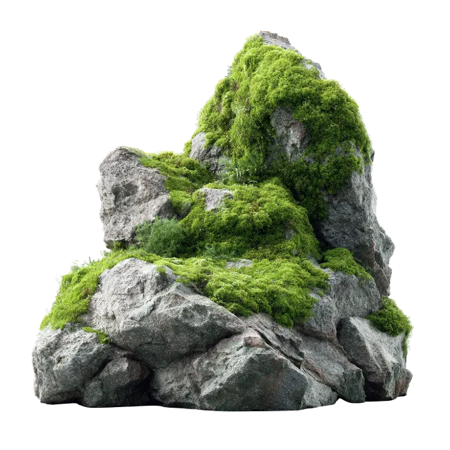 Moss Covered Rock Formation