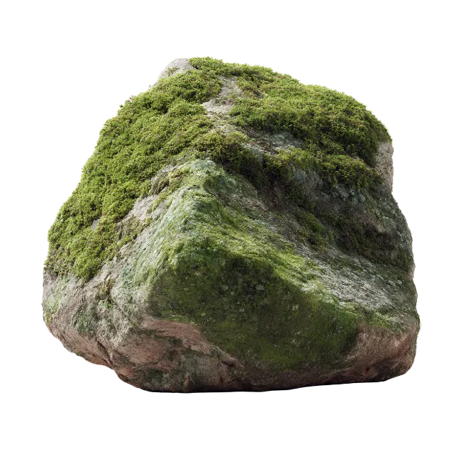 Moss Covered Rock Stone