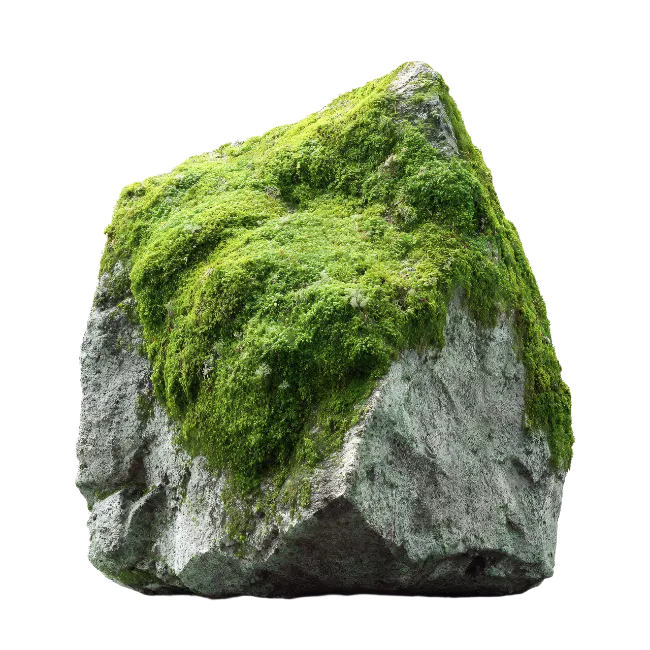 Moss Covered Rock Stone