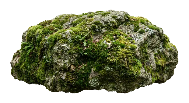 Moss Covered Rock Stone