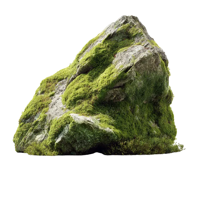 Moss Covered Rock Stone