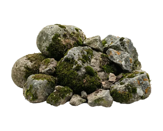 Moss Covered Rocks Pile