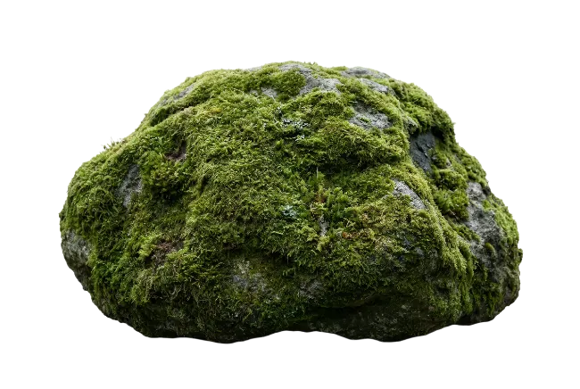 Moss Covered Stone Rock
