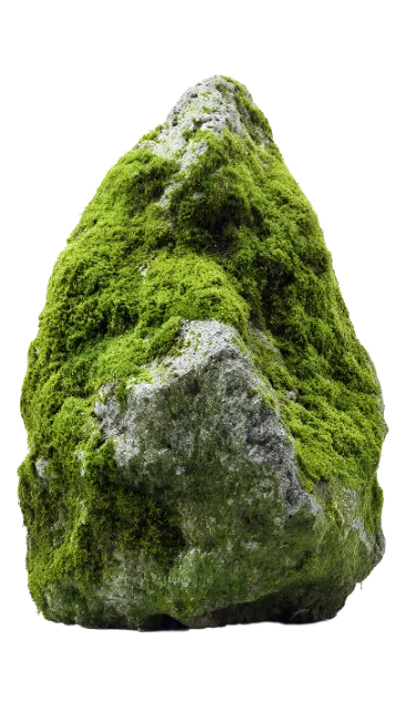Moss Covered Stone Rock