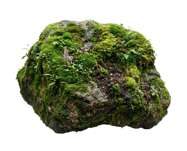 Moss Covered Stone Rock