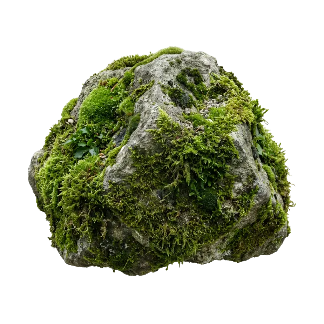 Moss Covered Stone Rock