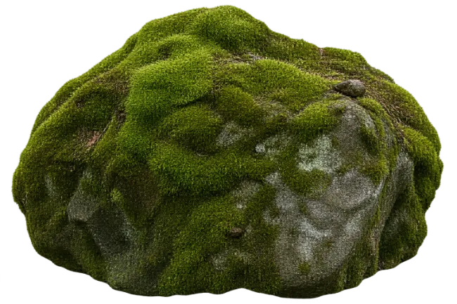 Moss Covered Stone Rock