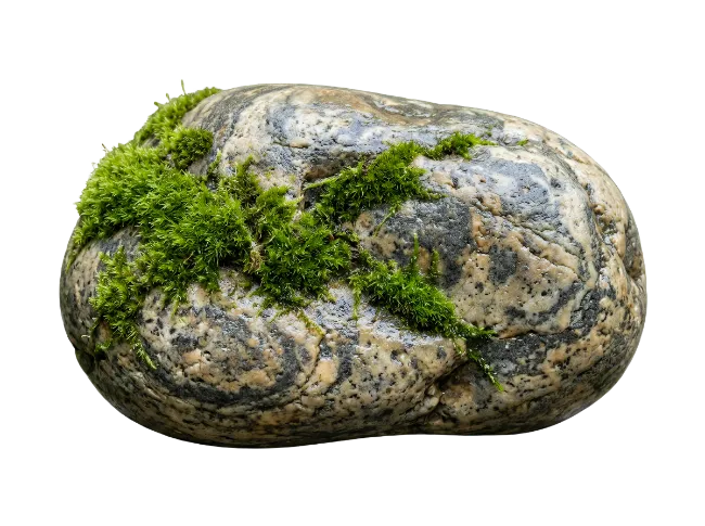 Moss Covered Stone Rock