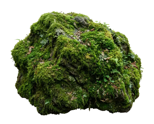 Moss Covered Stone Rock Isolated