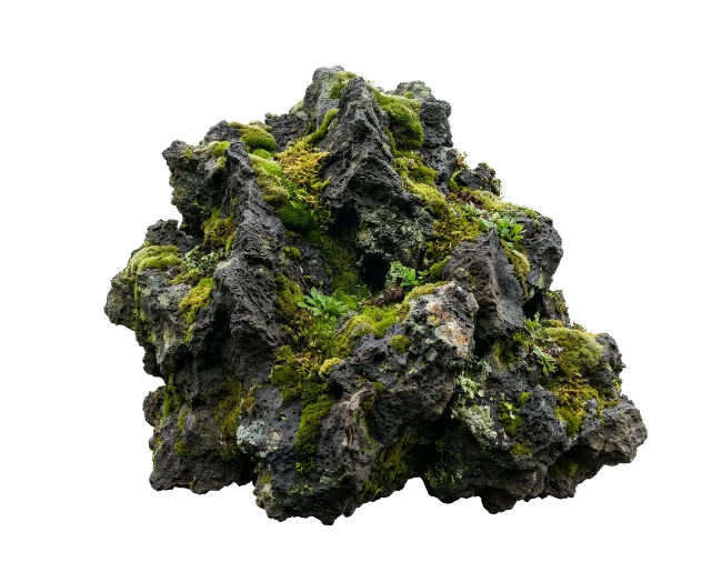 Moss Covered Volcanic Rock