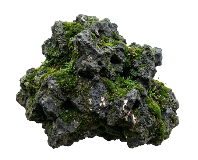 Moss Covered Volcanic Rock