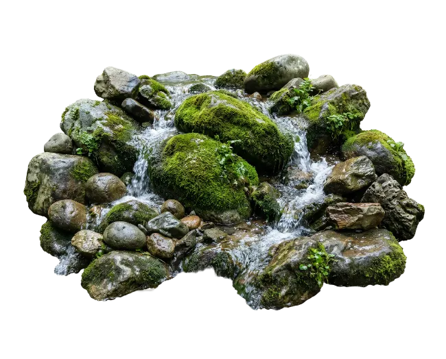 Mossy River Rocks and Flowing Water