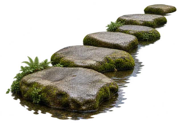 Mossy Stone Stepping Path in Water