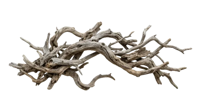 Natural Driftwood Pile