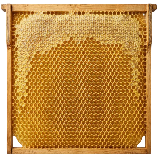 Natural Honeycomb in Wooden Frame