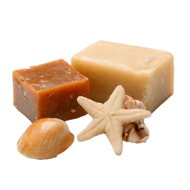 Natural Soap Bars with Seashells and Starfish