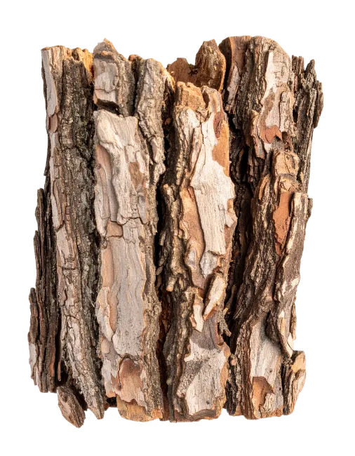 Natural Tree Bark Texture