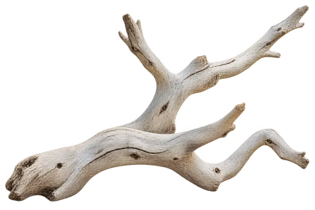 Natural Weathered Driftwood Tree Branch