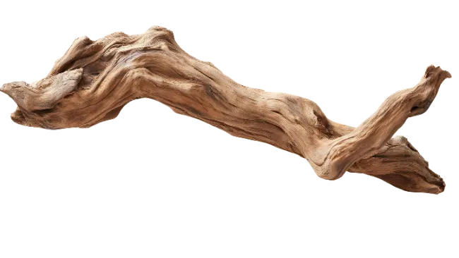 Natural Wooden Branch Driftwood Piece