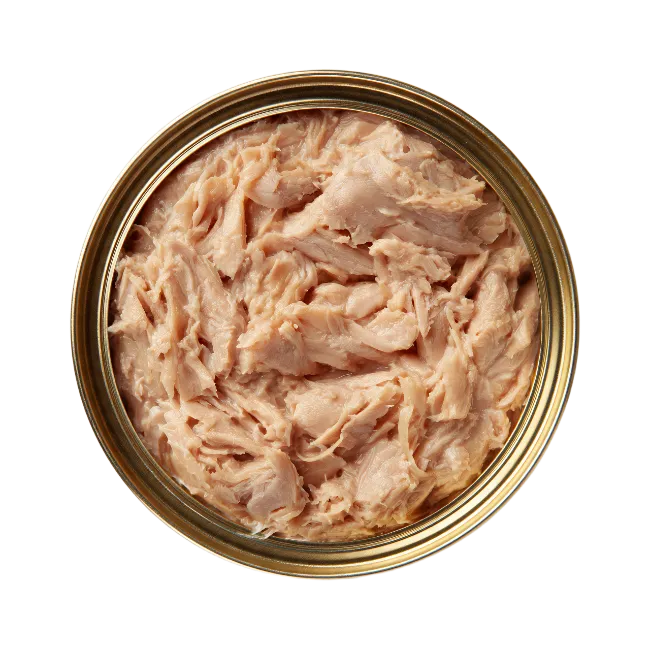 Opened Canned Tuna Fish