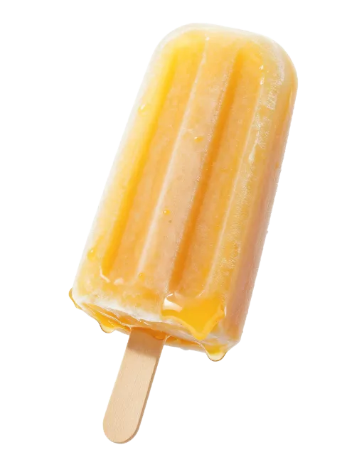 Orange Fruit Popsicle on Wooden Stick
