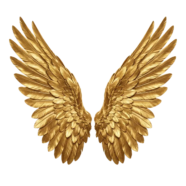 Pair of ornate golden wings with detailed feathers