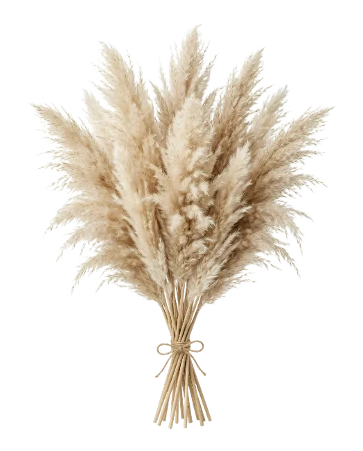 Pampas Grass Bouquet Arrangement