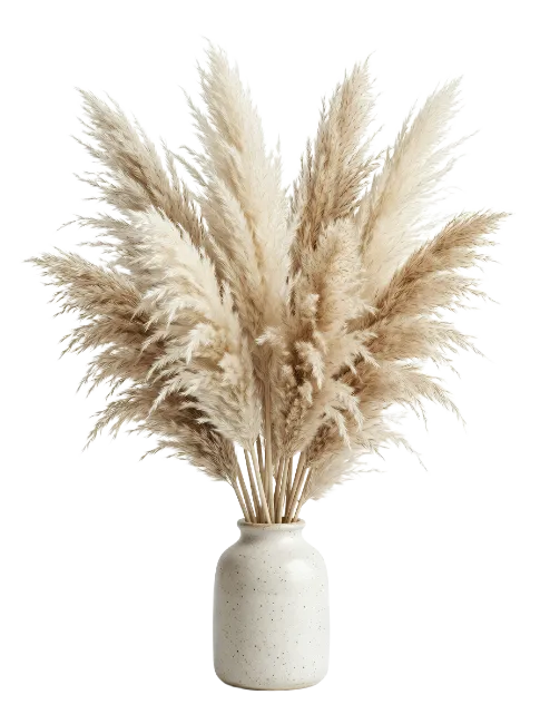 Pampas grass bouquet in a white ceramic vase