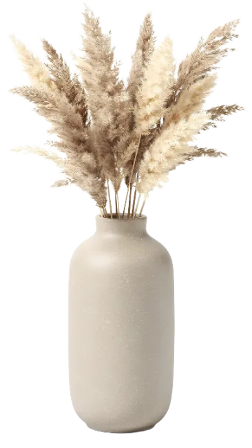 Pampas Grass in Ceramic Vase