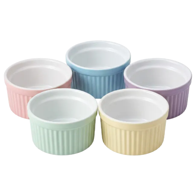Pastel Ramekins Ceramic Bowls Set
