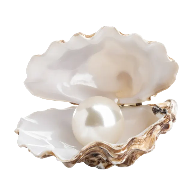 Pearl in Open Oyster Shell