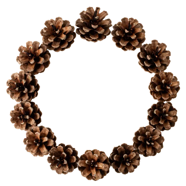 Pinecone Wreath Circular Frame