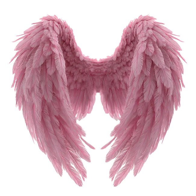 Pink Feather Angel Wings
