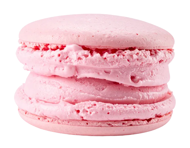 Pink Macaron Cookie Dessert