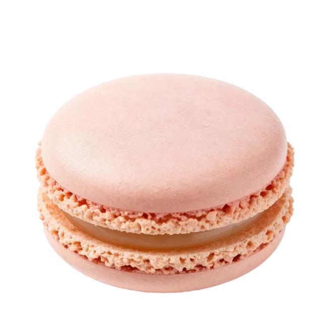 Pink Macaron Cookie Isolated