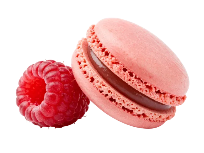 Pink Macaron with Chocolate Filling and Fresh Raspberry