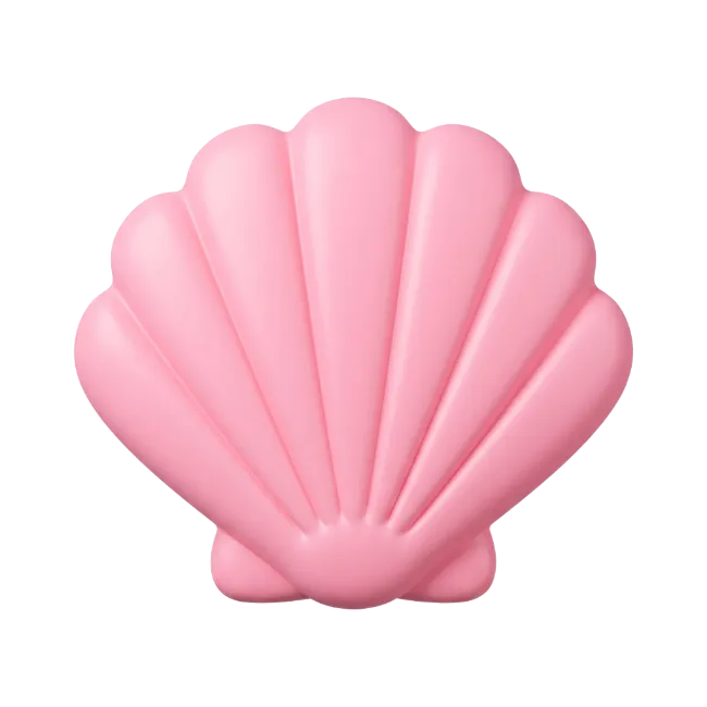 Pink Seashell Illustration