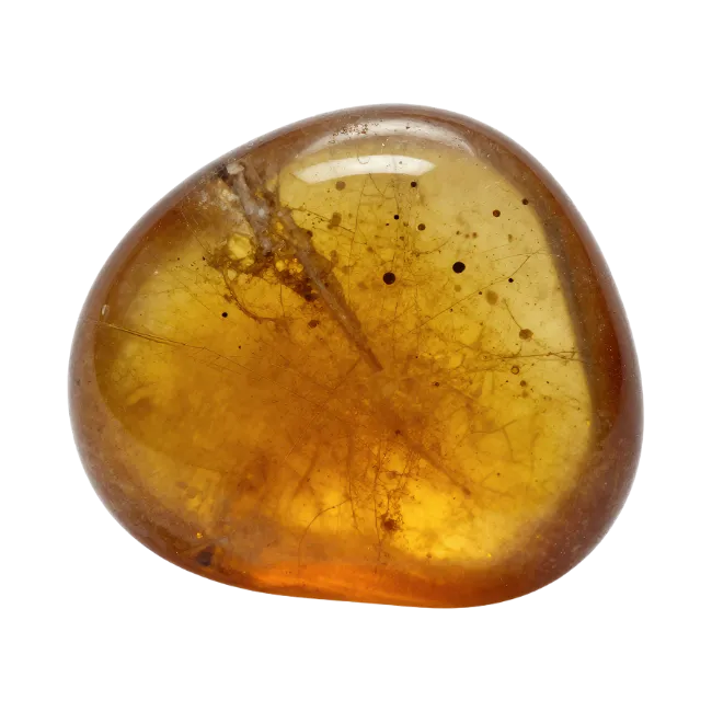Polished Amber Gemstone with Inclusions