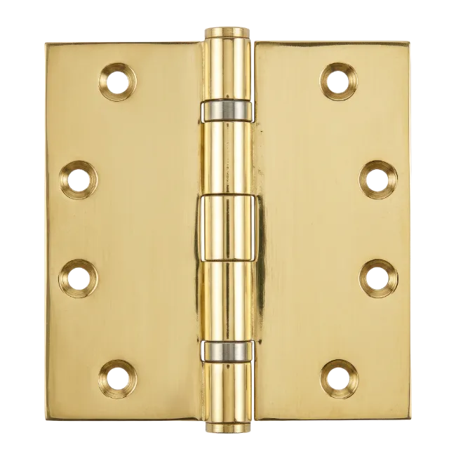 Polished Brass Door Hinge