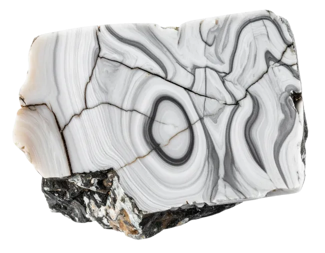 Polished White and Black Agate Mineral Specimen