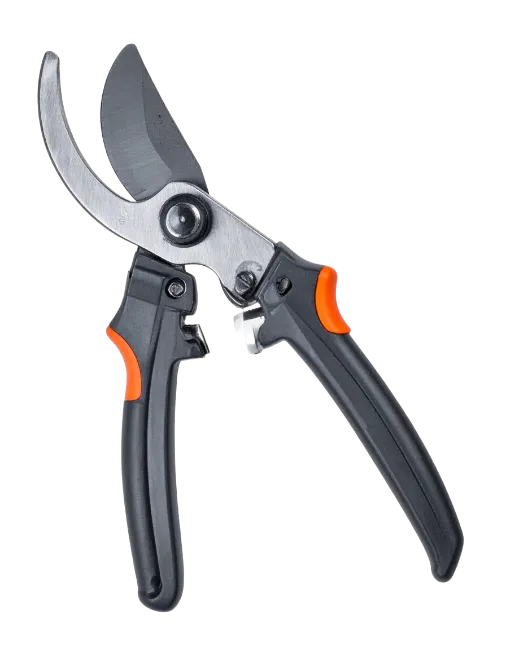 Pruning shears for gardening isolated