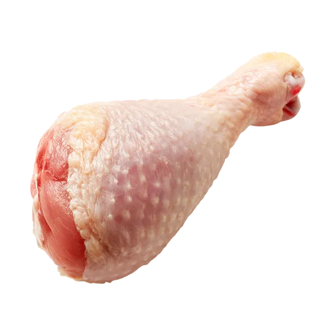 Raw Chicken Drumstick