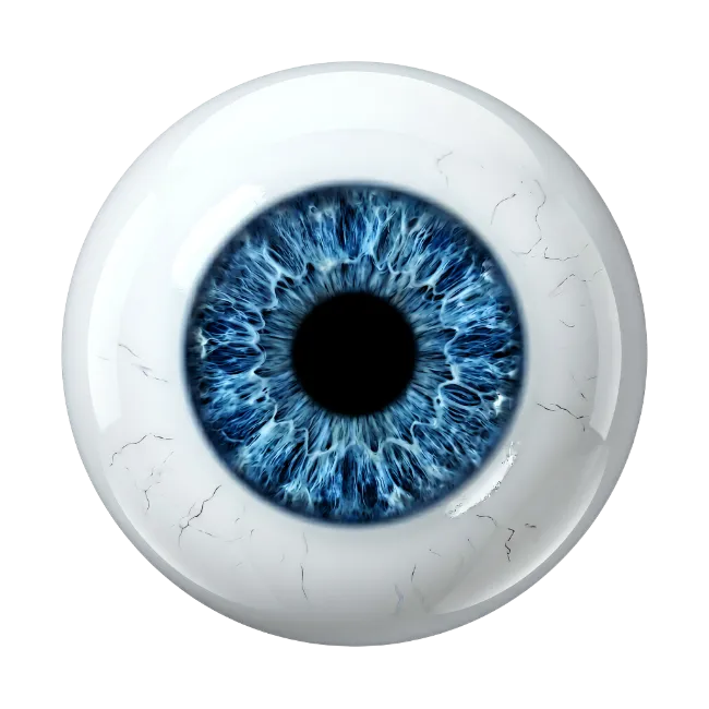 Realistic Human Eyeball with Blue Iris