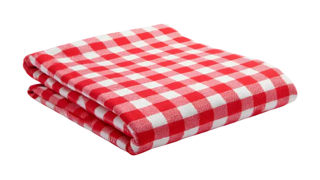 Red and white checkered picnic blanket