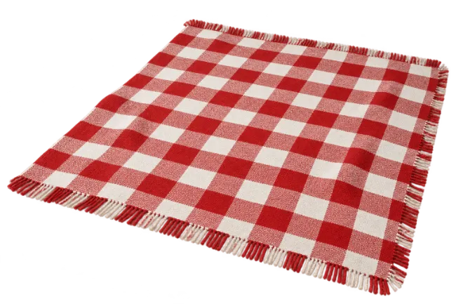 Red and White Gingham Napkin