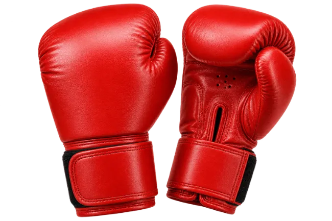 Red Boxing Gloves