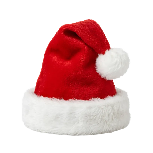 Red Christmas Santa Hat
