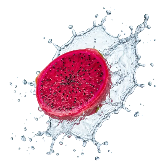 Red Dragon Fruit Slice with Water Splash