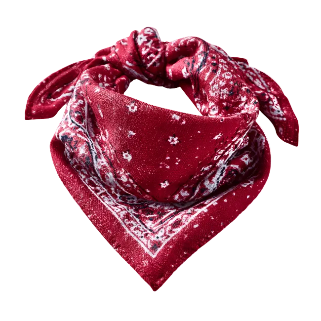 Red Paisley Bandana