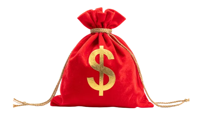 Red Velvet Money Bag with Golden Dollar Sign